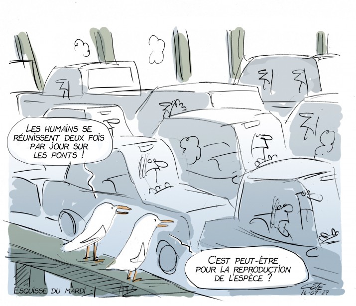 Cari Le Soleil APC 20160927