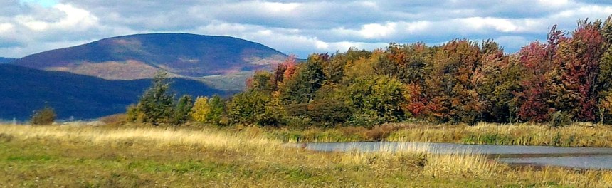 060 TM3 Voy Ile Paysage2