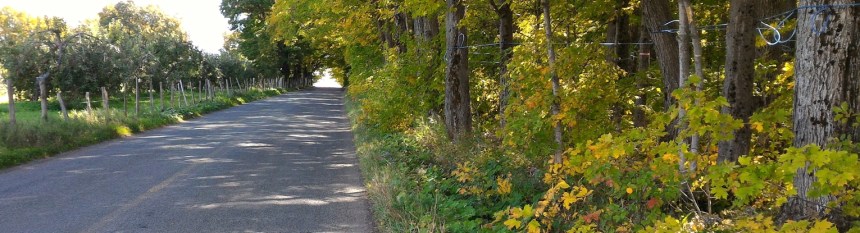 060 TM3 Voy Ile Paysage4