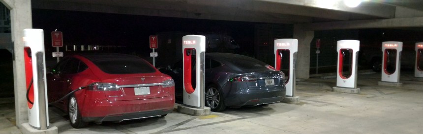 064 Floride SC Savan