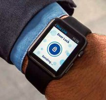 070 Kona Exper BlueLink