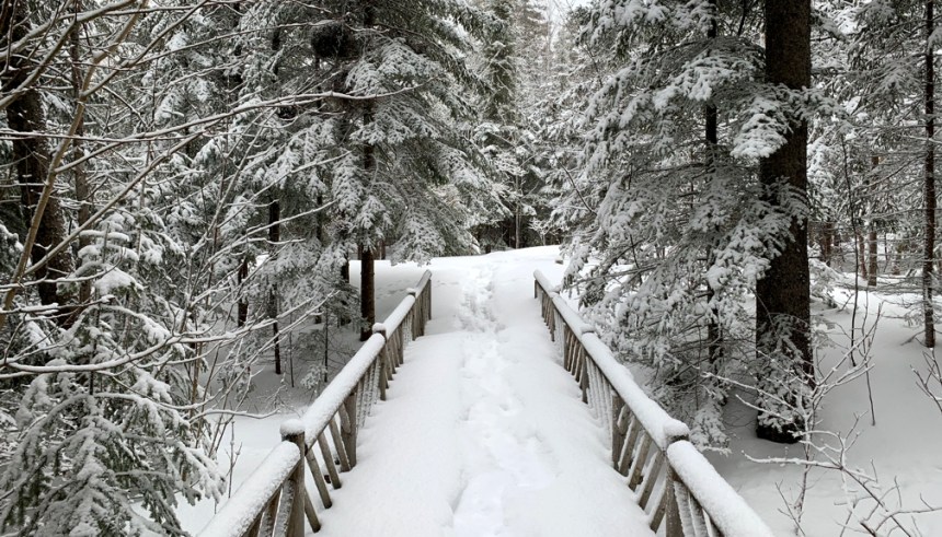 089 Sejour Gasp Jardins