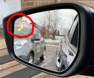 092 VoyLeaf19 Miroir