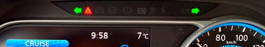 092 VoyLeaf19 warning