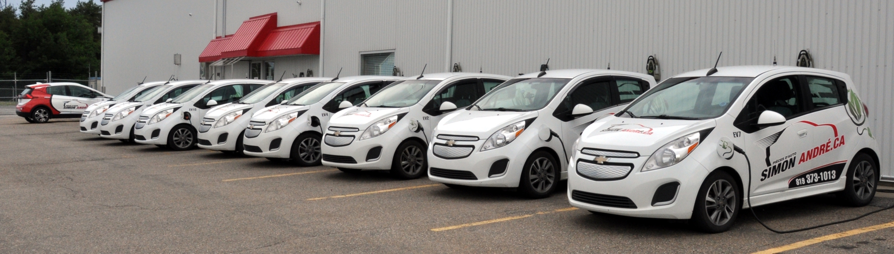 096 Leaf100K SA Flotte